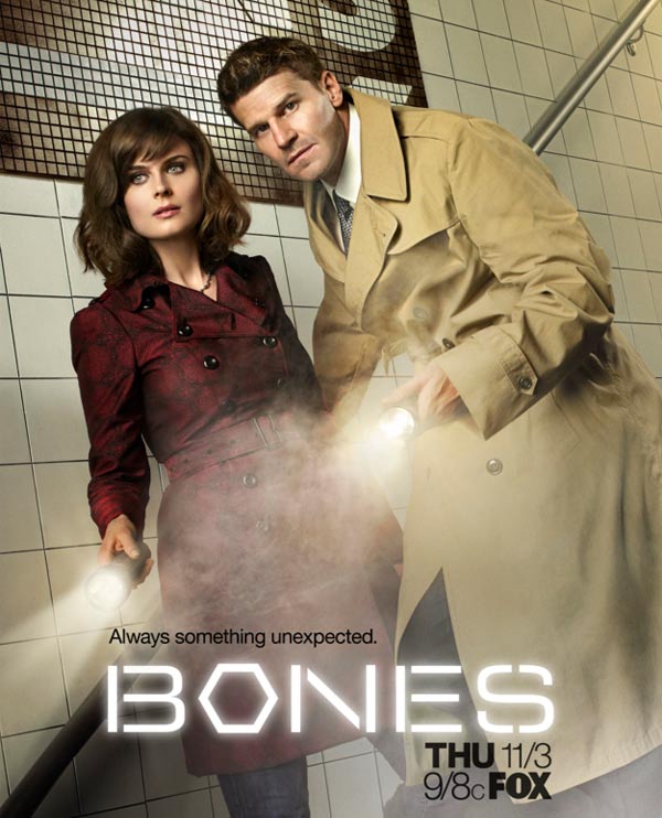 Cartaz de Bones – 7ª Temporada