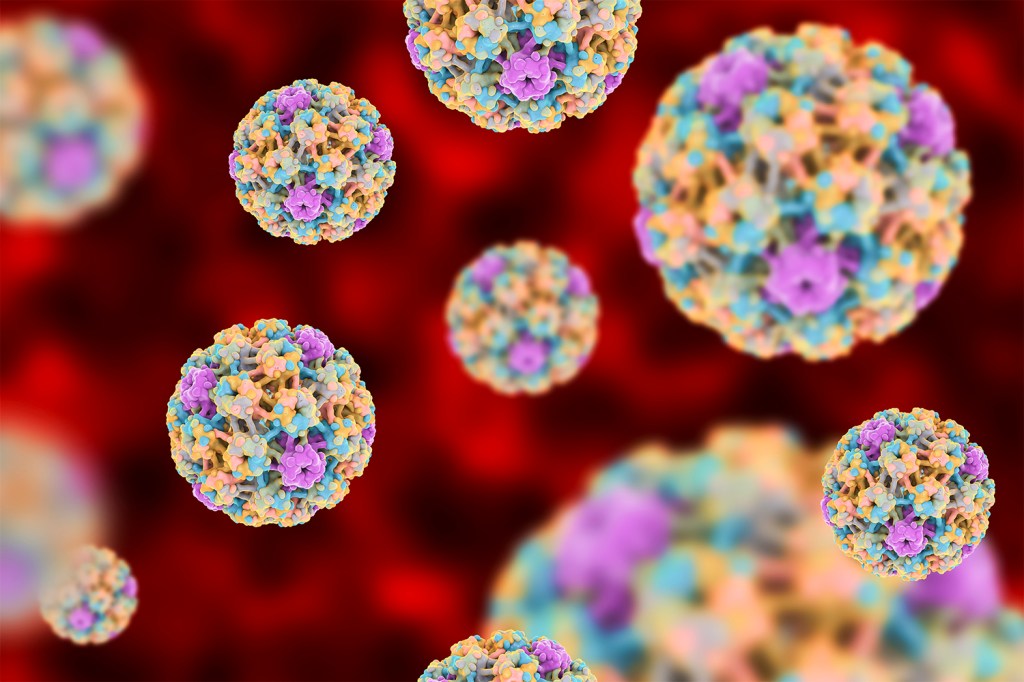 Saúde - Letra de Médico - HPV (Papilomavirus humano)