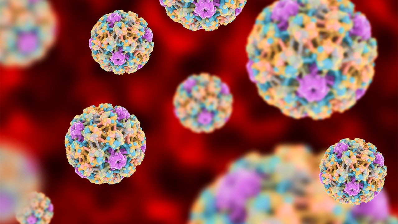 Saúde - Letra de Médico - HPV (Papilomavirus humano)