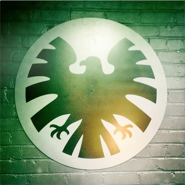 shield1