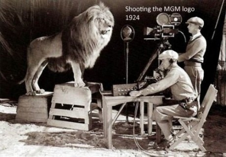 Gravação do rugido do leão da Metro Goldwin Mayer 