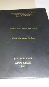 Maranhão: o homem que amava os cachorros