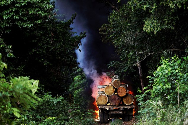 Caminhão carregado com árvores é incendiado por agentes do Ibama, durante operação de combate à extração ilegal de madeira, no Pará