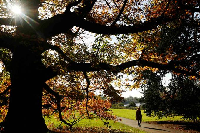 A woman walks near trees with leaves in autumn colours at Kew Gardens in west London