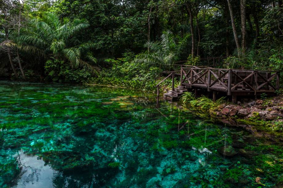 2 - Bonito (Mato Grosso do Sul): "<span>Flutuar no Rio da Prata, visitar a Gruta do Lago Azul e o Abismo Anhumas estão entre as atividades mais populares deste destino no meio da Mata Atlântica. Prepare-se para avistar animais silvestres entre as belas trilhas do local!"</span>