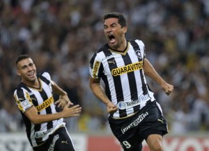 Botafogo: série B em 2015