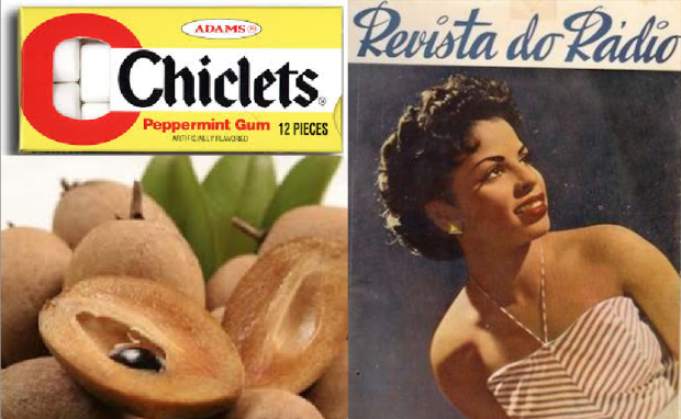 O chiclete, o sapoti e a cantora Ângela Maria, a Sapoti: raízes astecas 