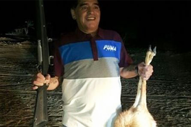 Diego Armando Maradona com animal morto, em Dubai