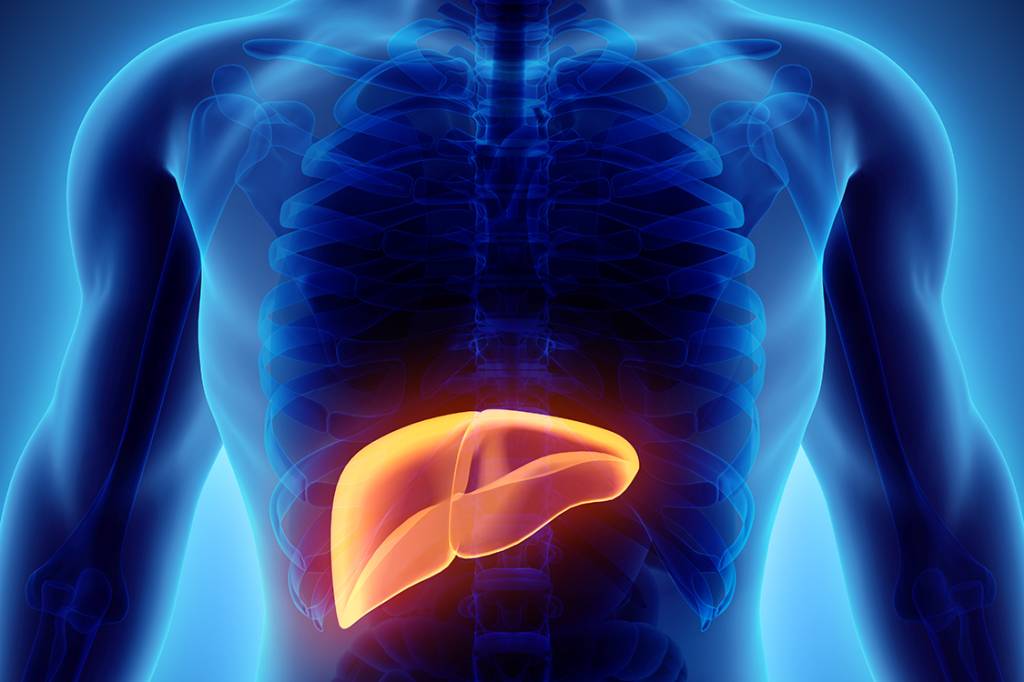 3D illustration of Liver.
