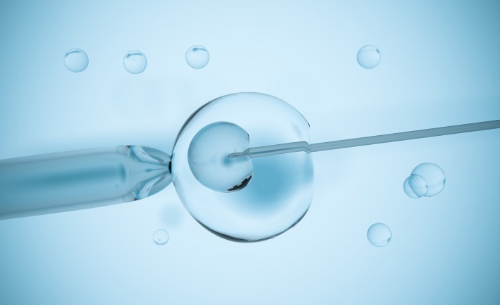 Quanto custa uma fertilização in vitro em 2024? Veja valores!