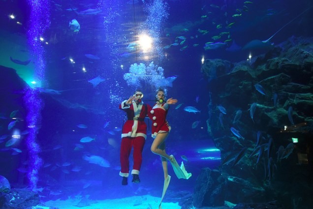 Mergulhadores vestidos com roupas de natal acenam para o público durante evento no aquário de Goyang, na Coreia do Sul