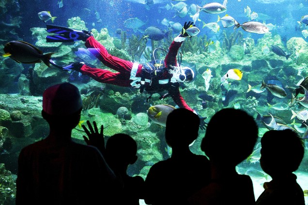 Papai Noel interage com crianças dentro de um aquário no aquário KLCC em Kuala Lumpur - 08/12/2016