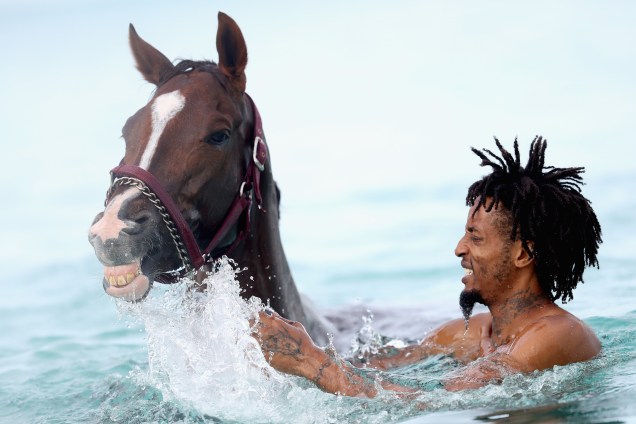 Homem dá banho em cavalos em preparação para o festival de comemoração de 50 anos de independência dos Barbados - 01/12/2016