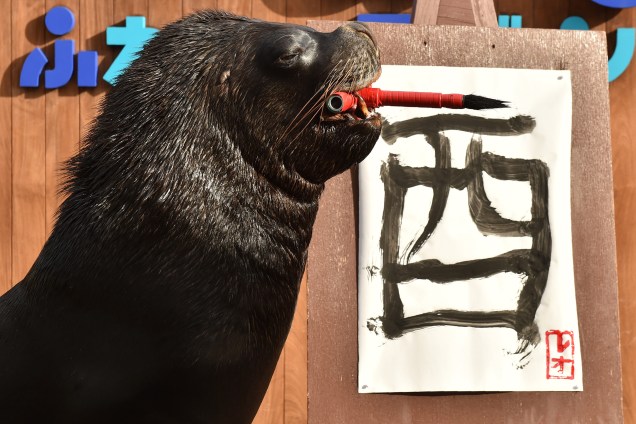 O leão marinho 'Leo' participa de uma sessão de caligrafia no aquário Hakkeijima Sea Paradise em Yokohama, no Japão. O evento marca o próximo Ano Lunar do Galo e faz parte das atrações do Ano Novo do aquário - 26/12/2016