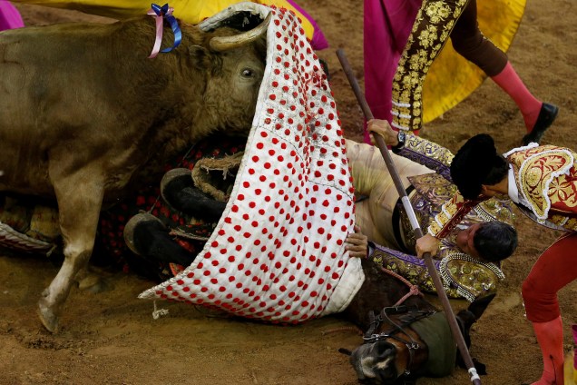 Homem fica preso debaixo de um cavalo, enquanto é atacado por um touro durante um festival de touradas em Cali, na Colômbia