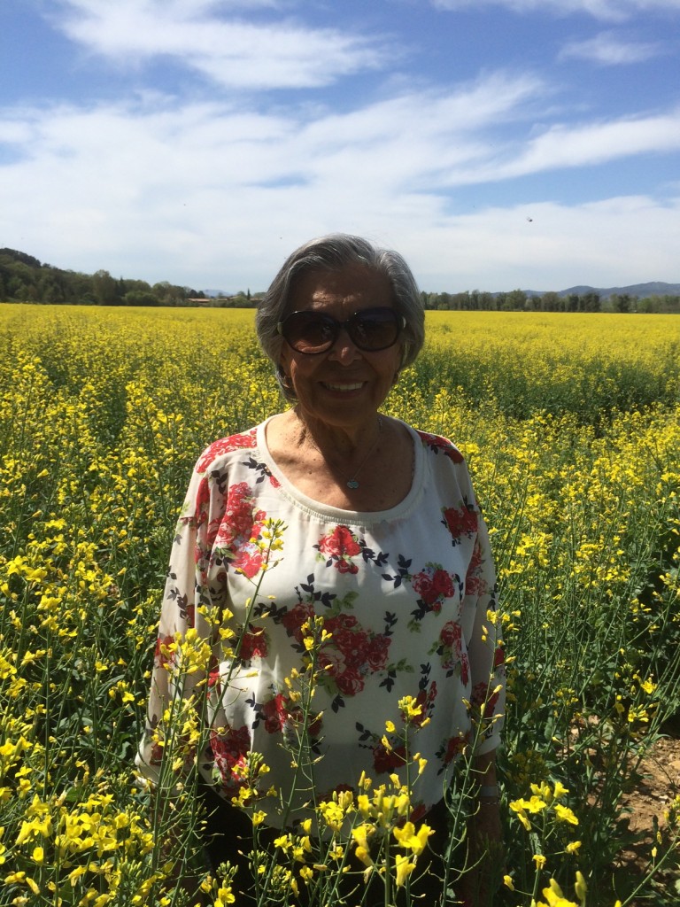 Num campo de flores na Provence