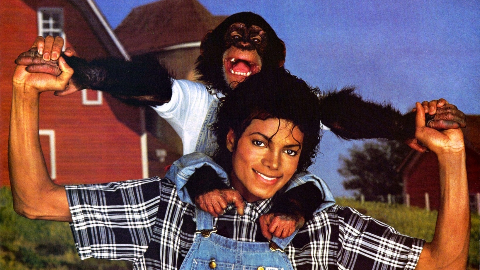 Bubbles: onde está e como vive o chimpanzé amigo de Michael Jackson