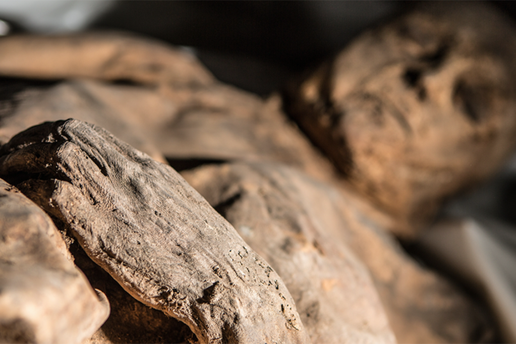 Múmia encontrada na Lituânia