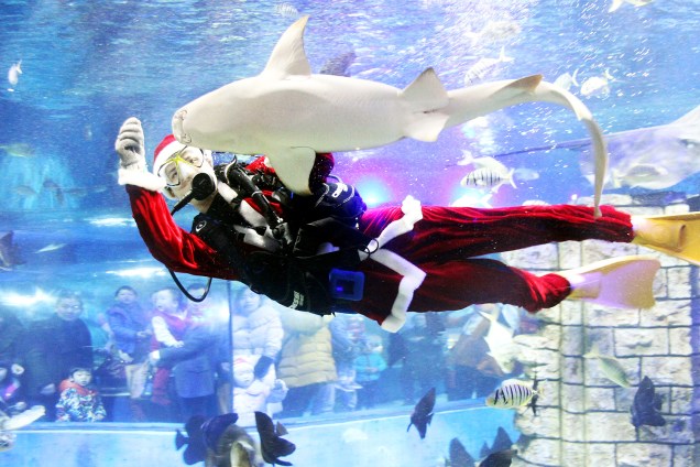 Um mergulhador vestido de Papai Noel alimenta animais de um aquário em Suzhou, na província chinesa de Jiangsu - 24/12/2016