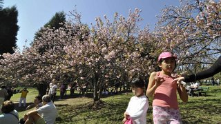 parque-carmo-itaquera-20110806-size-320