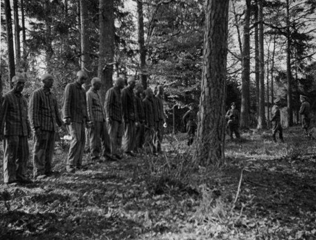 Execução de prisioneiros polacos por soldados alemães, em 1942