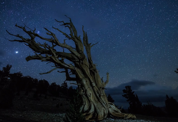timelapse-meteor-shower-california-2