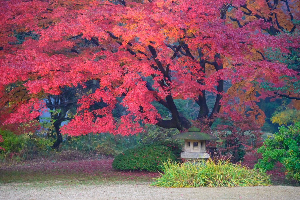 Rikugien is often considered Tokyo's most beautiful Japanese landscape garden. Built around 1700 for the 5th Tokugawa Shogun. Rikugien literally means "six poems garden”.