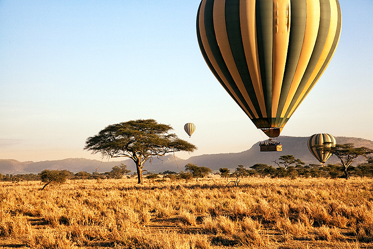 turismo-serengeti-tanzanca