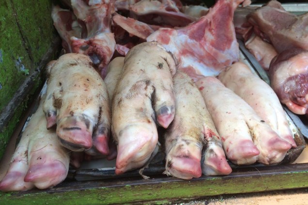 Patas de porco à venda em Havana Vieja, Cuba