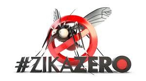 Zika zero: sem versão gringa