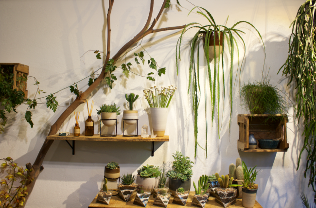Amapa-Fower-Shop
