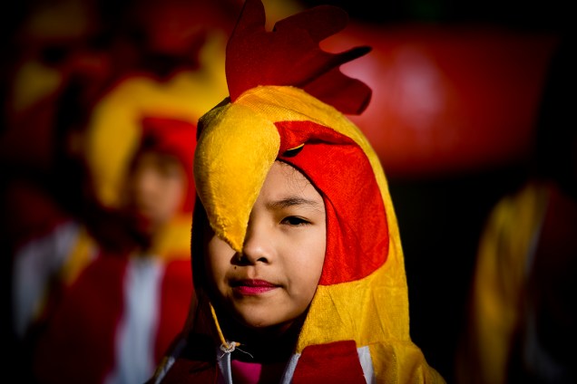 Criança fantasiada durante as comemorações do ano novo chinês, que marca o ano do Galo, na China