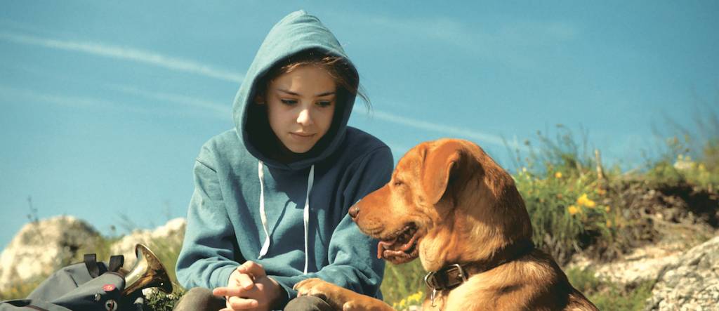 Momento Fofura Canina