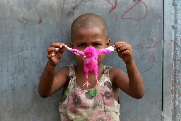 Criança brinca com um pintinho colorido em uma favela de Mumbai, na Índia - 02/01/2017