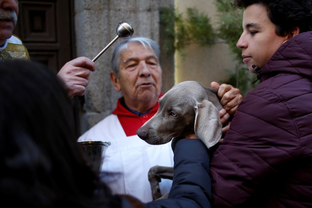 Padre abençoa um cão durante a festa de Santo Antônio, padroeiro da Espanha e dos animais, em Madri - 17/01/2017
