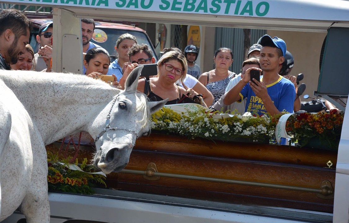 Cavalo se despede de seu dono durante funeral