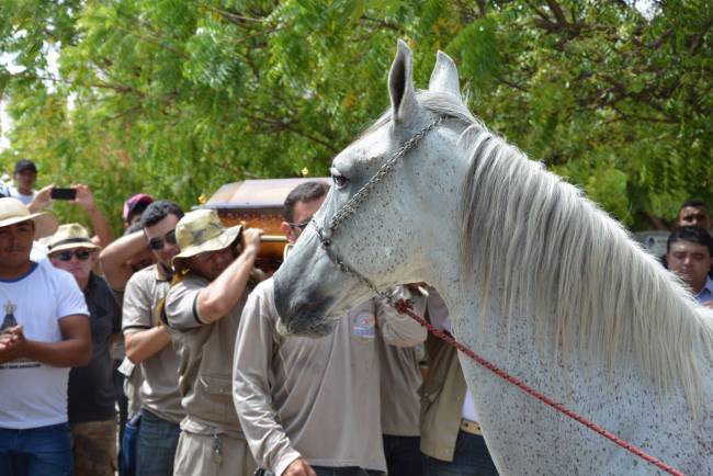 Cavalo é levado ao funeral de seu dono em Cajazeiro, na Paraíba