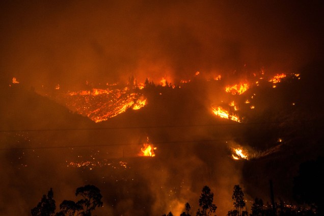 Incêndios provocam maior desastre florestal da história do Chile. Um total de 140 mil hectares de florestas foram destruídos por incêndios no Centro e no Sul do Chile na última semana - 26/01/2017