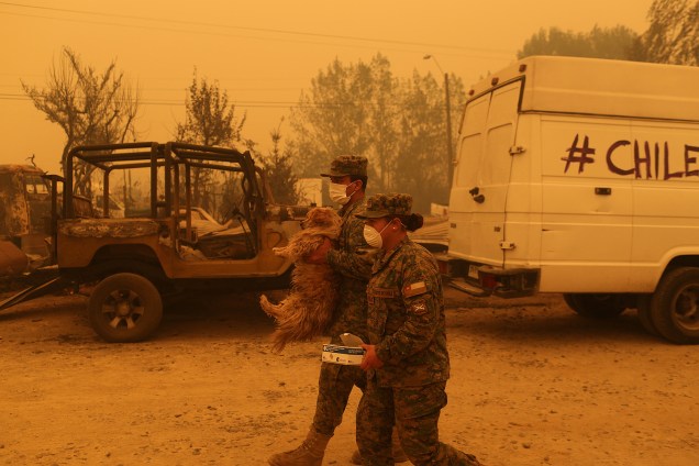 Bombeiros resgatam um cachorro de um incêndio florestal em Santa Olga, no Chile. A presidente Michelle Bachelet declarou estado de emergência, enviou tropas e pediu ajuda internacional no que chamou do 'maior desastre florestal' da história do Chile - 27/01/2017