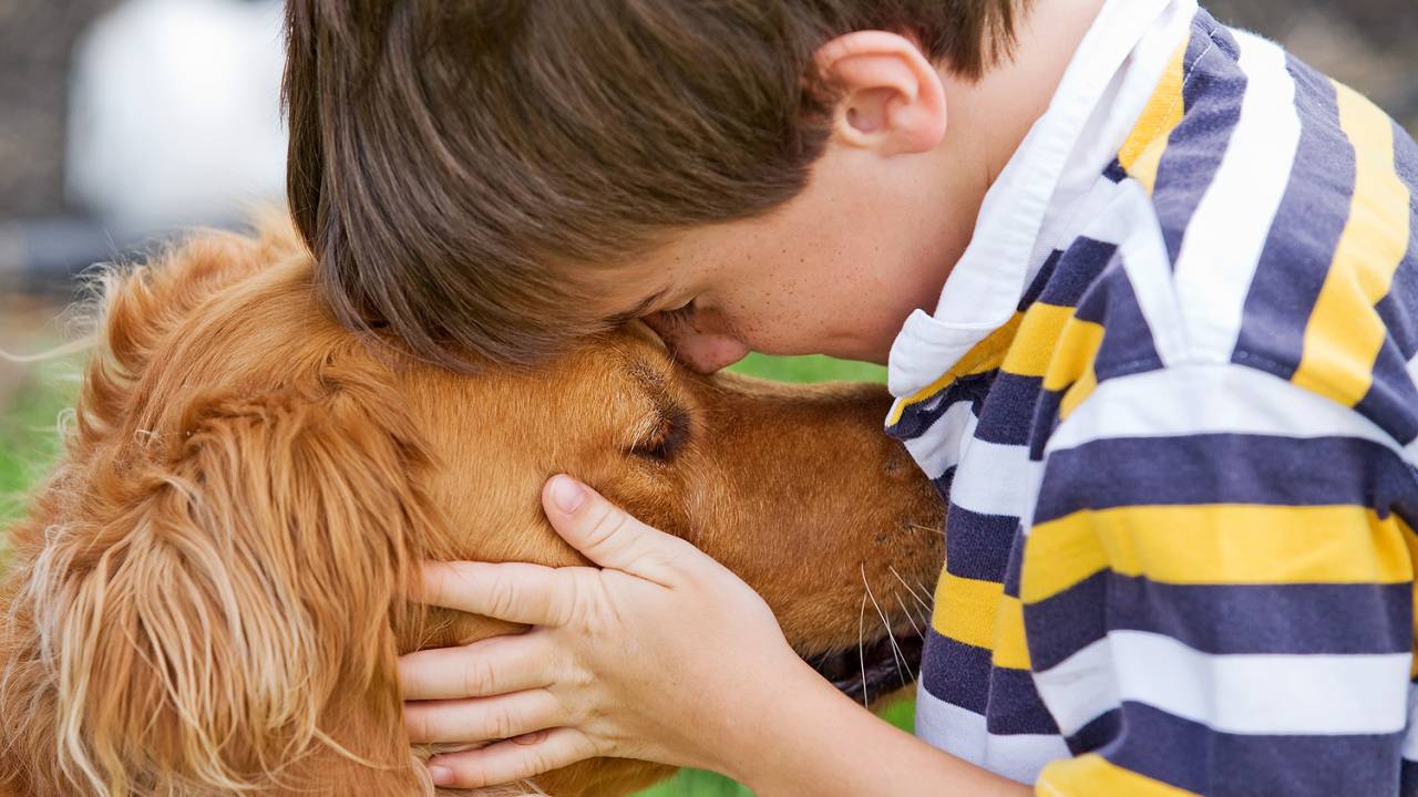 Menino e Cachorro