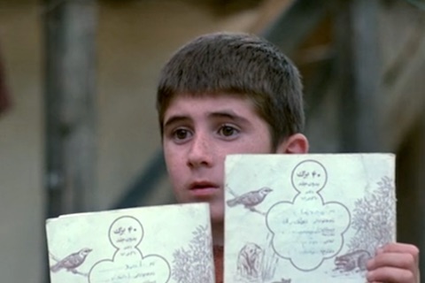 kiarostami_mat1