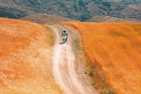 kiarostami_mat5