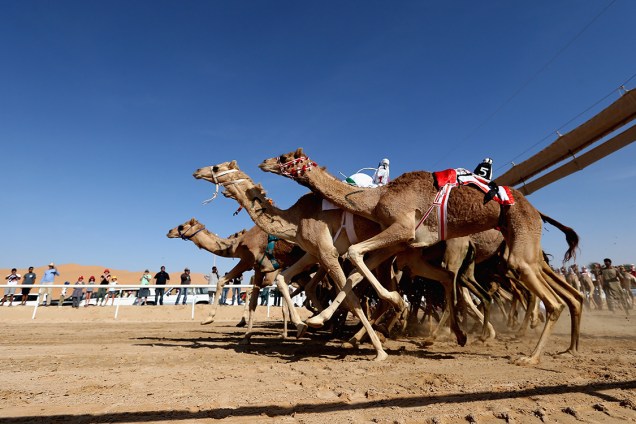 Camelos disputam corrida no deserto de Liwa, principal atração do Festival das Dunas Liwa Moreeb, nos Emirados Árabes