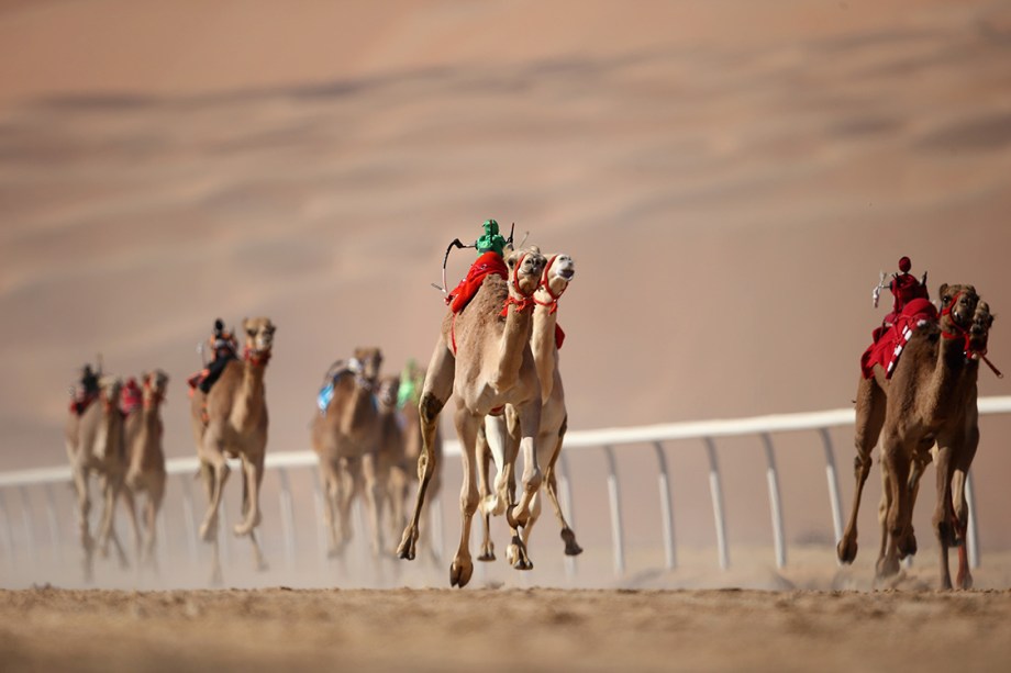 Camelos disputam corrida no deserto de Liwa, principal atração do Festival das Dunas Liwa Moreeb, nos Emirados Árabes
