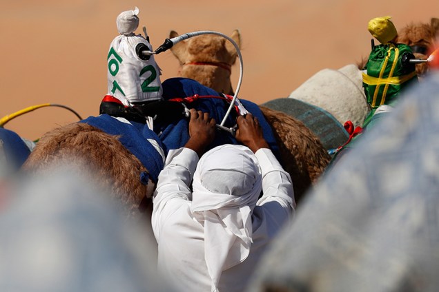 Cuidador prepara camelos para corrida no deserto de Liwa, uma das principais atrações do Festival das Dunas Liwa Moreeb, em Abu Dhabi, que promove a cultura local dos Emirados Árabes