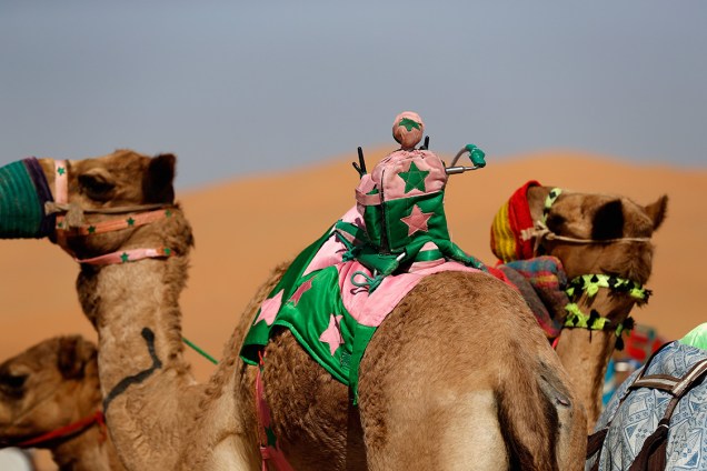 Camelos são preparados para corrida no deserto de Liwa, a 250 quilômetros do Golfo Pérsico, durante o Festival das Dunas Liwa Moreeb, nos Emirados Árabes