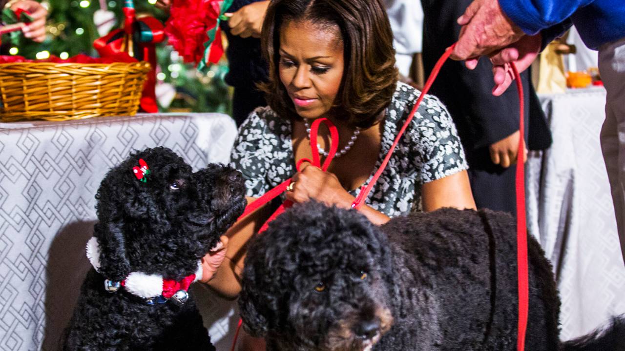 A primeira-dama americana Michelle Obama, com os cães Sunny (esq) e Bo (centro), durante evento de decoração natalina na Casa Branca, em Washington - 04/12/2013