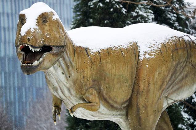 Escultura de T-Rex em tamanho real é coberta por neve no Museu de História Natural Senckenberg, em Frankfurt, na Alemanha, após forte nevasca atingir a região - 10/01/2017