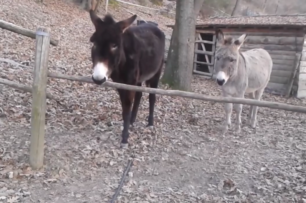 4 ações que te deixam mais burro, segundo a ciência