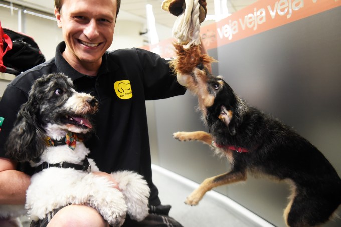 TVEJA: Alexandre Rossi com seus cachorros Bartho e Estopinha